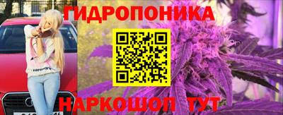 сатива Кулебаки