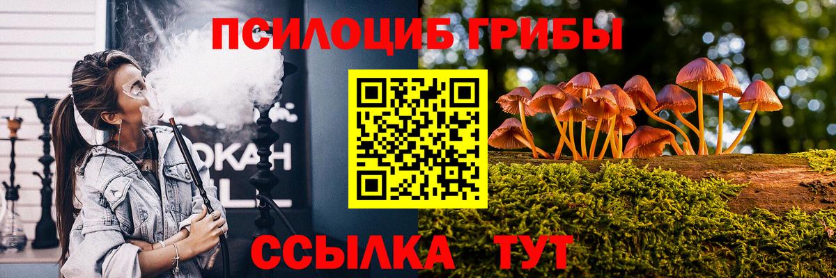 Псилоцибиновые грибы Psilocybe Донецк