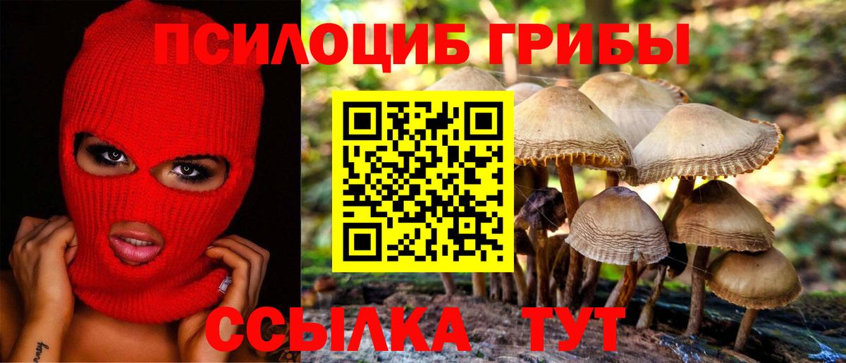 Псилоцибиновые грибы мухоморы  Вход с VPN  Галлюциногенные грибы Psilocybine cubensis  Донецк 